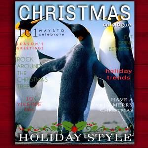 Meet your Posher, Pauline